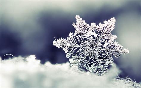 Nieve .